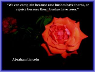 Alles in einem, alles oder nichts