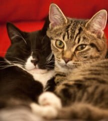 Es zählt nicht, wo du dich befindest, sondern mit wem du deine Zeit verbringst