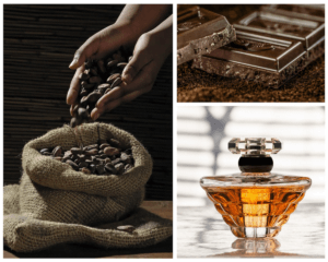 Some classy perfumes with hints of chocolate and cocoa