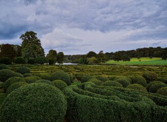 Detached from Reality