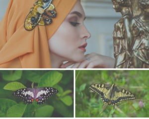 Ich habe das Bedürfnis verspürt, zu bewundern